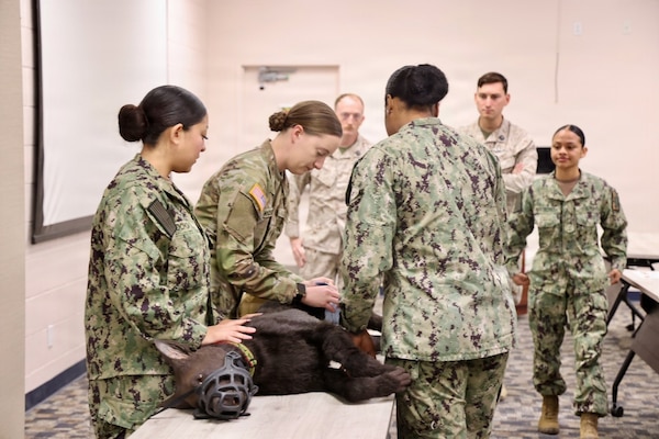 Hospitalman Brianna Ochoa (left) and Hospital Apprentice Halima Stewart (right) receive instruction from Army Spc. Amelia Knosp, an animal care specialist assigned to the installation veterinary clinic, during a Canine Tactical Combat Casualty Care training course at Navy Medicine Readiness and Training Command Twentynine Palms, May 15, 2026. Led by Army veterinary personnel, the training introduced hospital corpsmen to canine trauma assessment, hemorrhage control, airway management and other lifesaving skills used to stabilize injured military working dogs in operational environments. (U.S. Navy photo by Christopher Jones, NH/NMRTC Twentynine Palms public affairs officer)