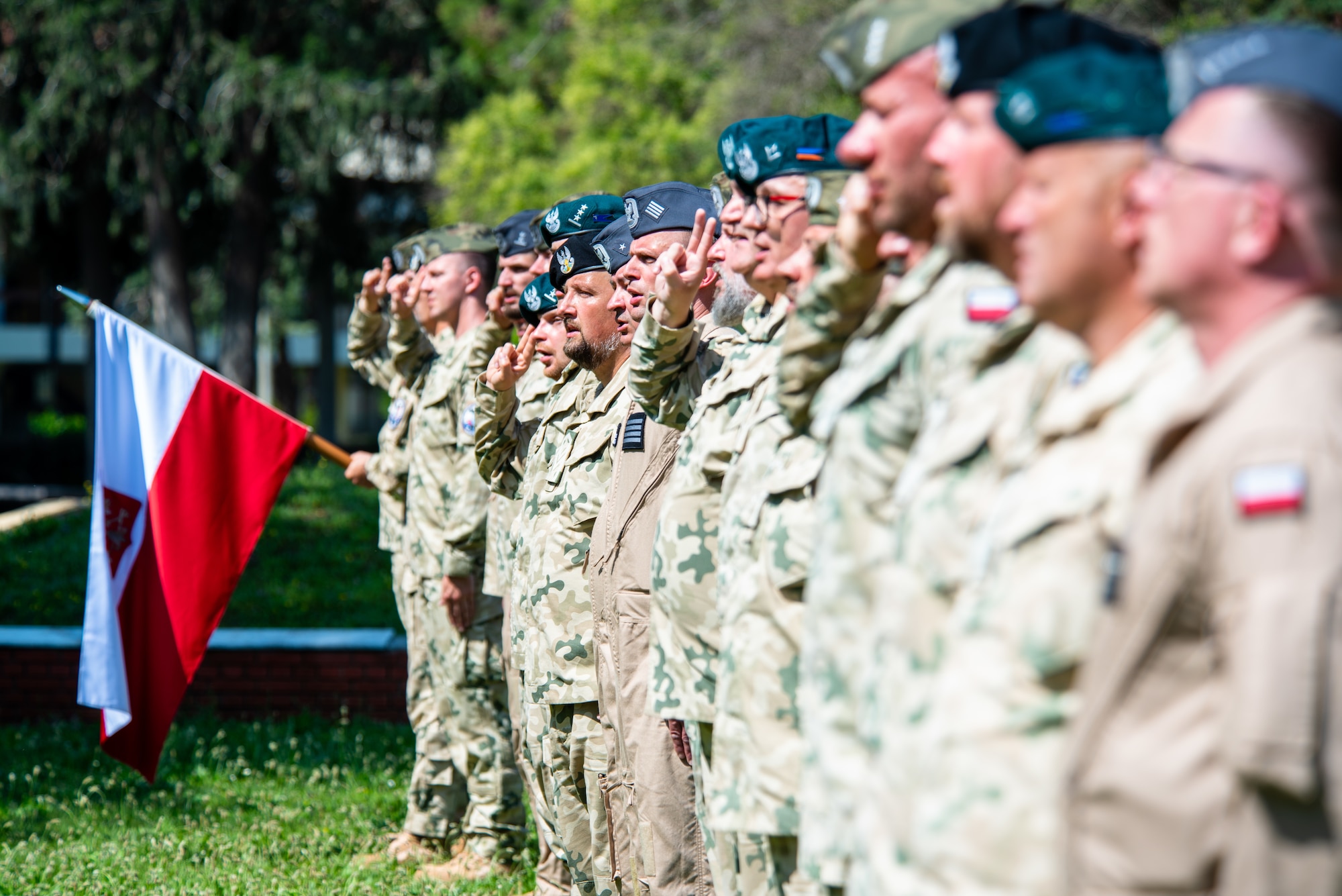 Polish military members render a salute