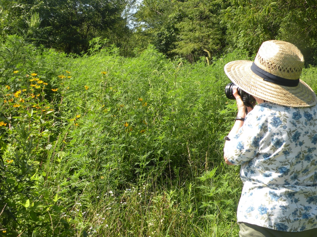 A green vegetated area is viewed by a woman in a big straw hat, holding a camera up to her eye.