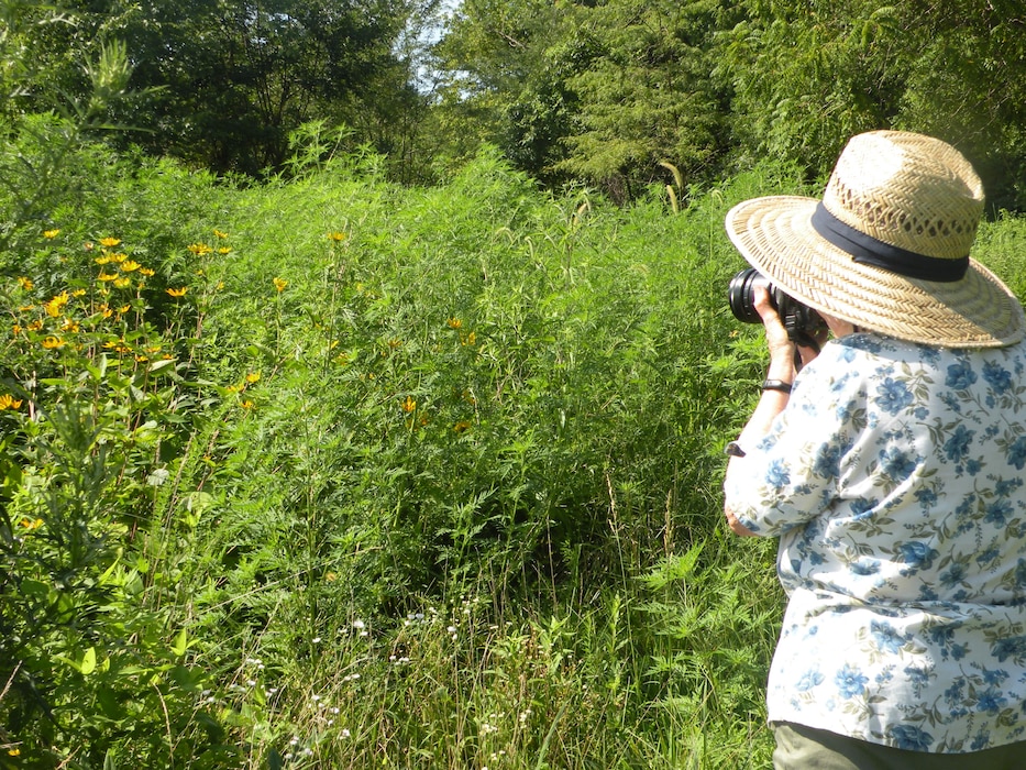 A green vegetated area is viewed by a woman in a big straw hat, holding a camera up to her eye.