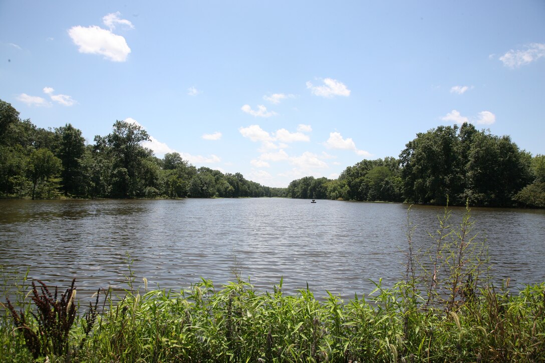 A lake with trees in the background and green vegetation in the foreground.