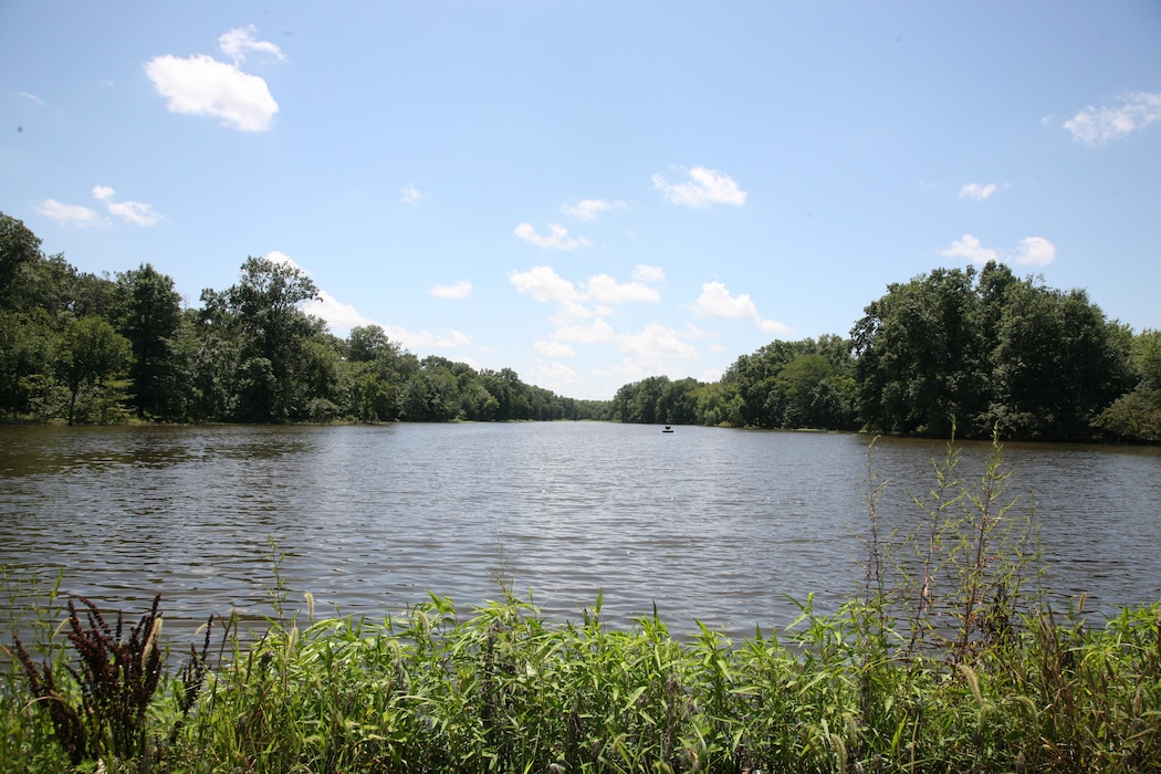 A lake with trees in the background and green vegetation in the foreground.