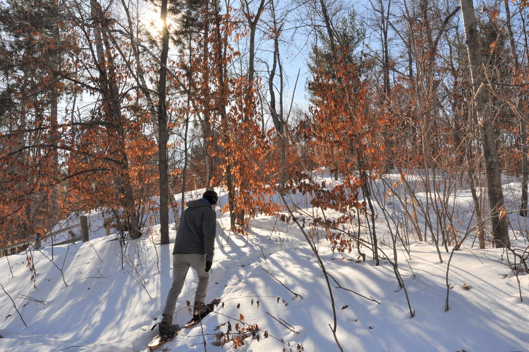 A single snowshoer walking through a wooded landscape with bare trees and trees with red leaves remaining.