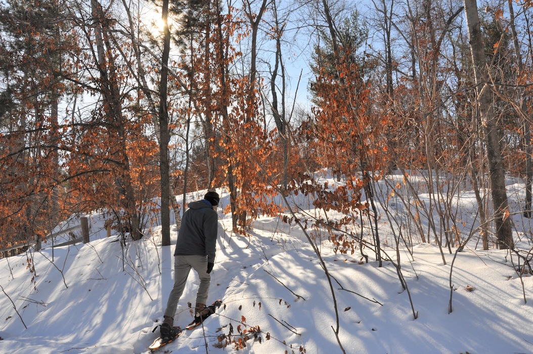 A single snowshoer walking through a wooded landscape with bare trees and trees with red leaves remaining.