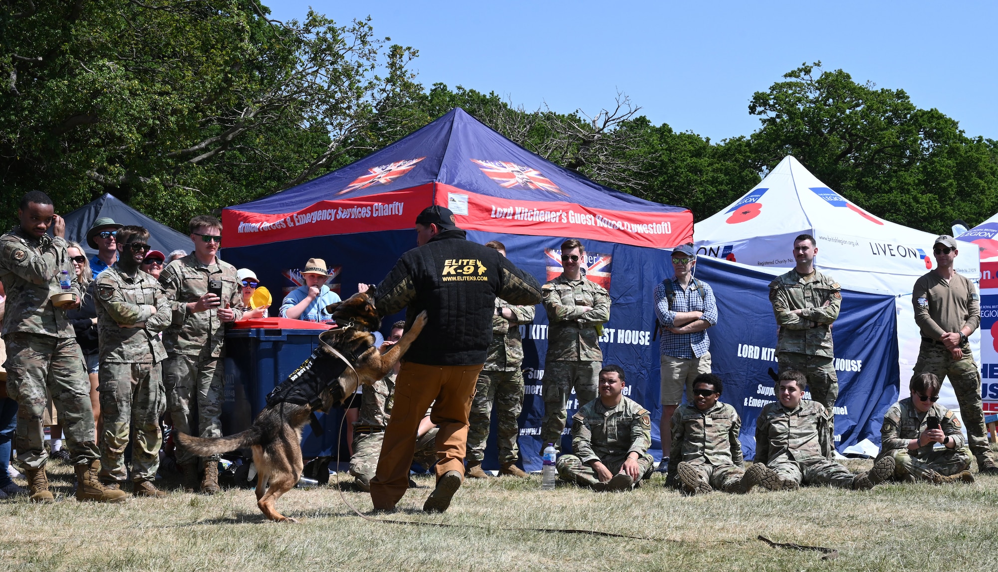U.S. Air Force Staff Sgt. Charles Pope, 100th Security Forces Military Working Dog section kennel master, and MWD Juan demonstrate a military K-9’s capabilities at the Suffolk Show in Ipswich, England, May 27, 2026. Juan, along with his handler and kennel master, performed two demonstrations during the first day of the event. (U.S. Air Force photo by Karen Abeyasekere)