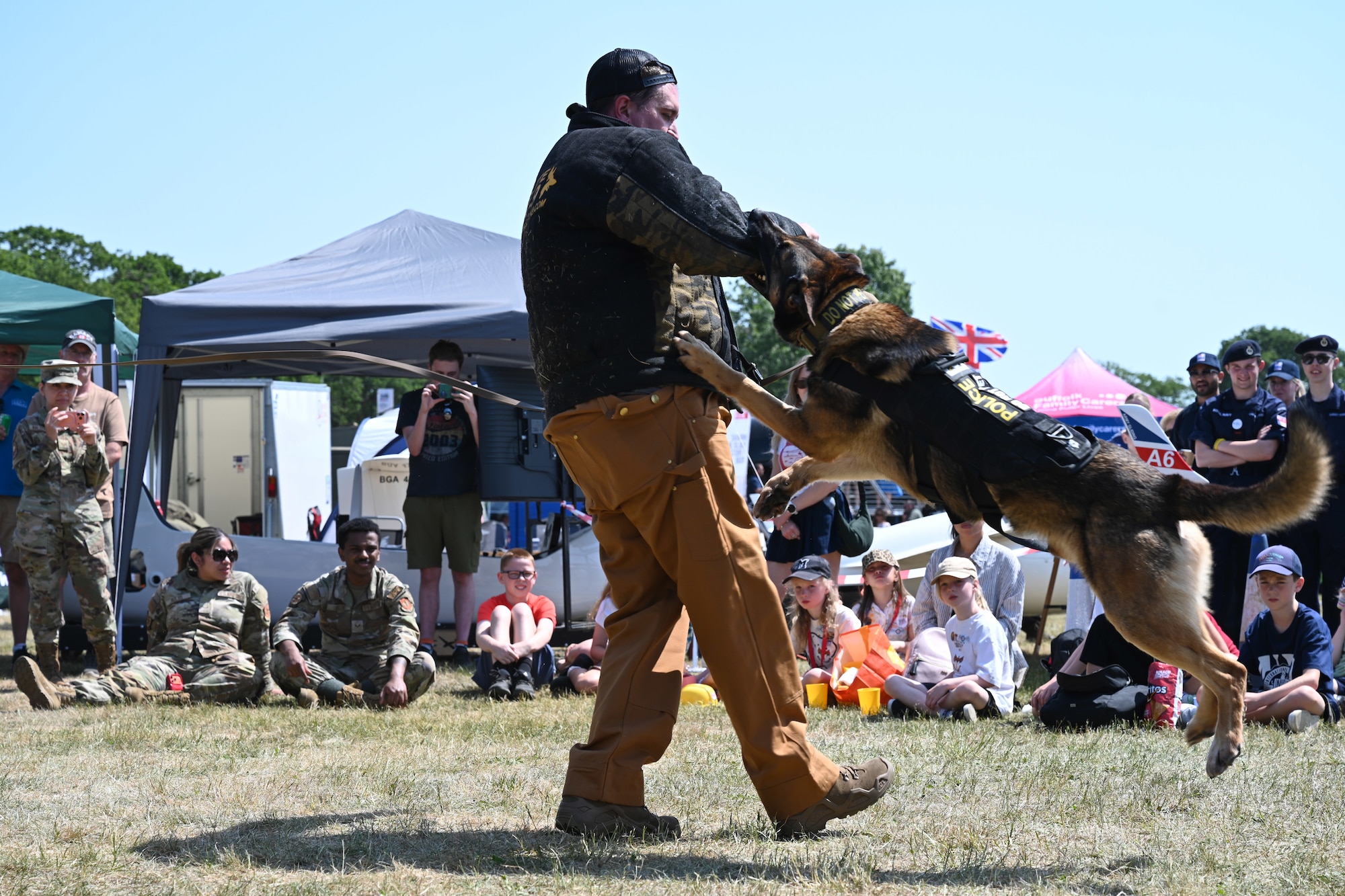 U.S. Air Force Military Working Dog Juan sinks his teeth into the arm of a bite suit worn by Staff Sgt. Charles Pope, 100th Security Forces Military Working Dog section kennel master, during a demonstration of the military K-9’s capabilities at the Suffolk Show in Ipswich, England, May 27, 2026. Juan, along with his handler and kennel master, performed two demonstrations during the first day of the event. (U.S. Air Force photo by Karen Abeyasekere)