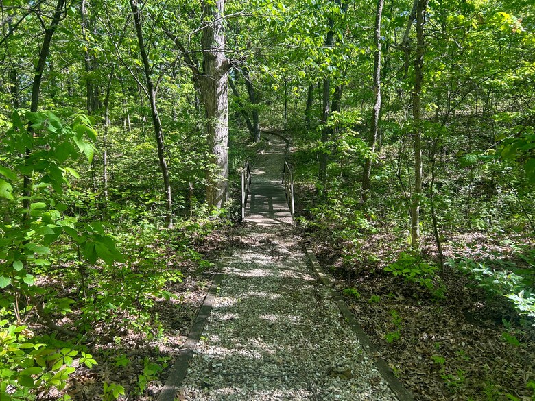 Gravel trail in forest.