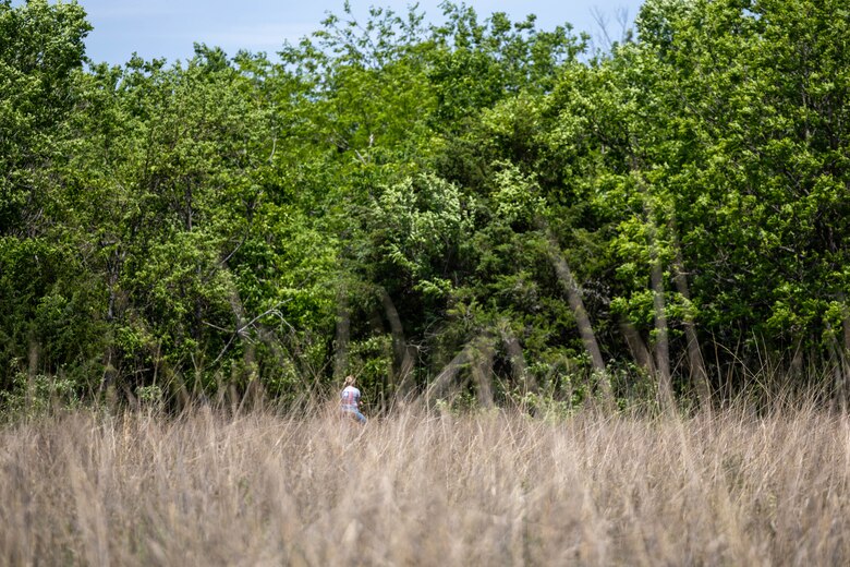 Horse rider entering trail