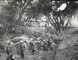 A black and white image showing a battalion of Marines carrying equipment walking through a path in a forest, inland away from a bay.