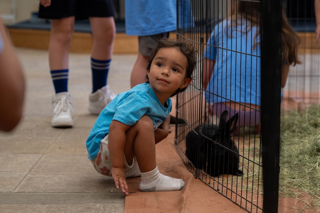 A military child plays with a rabbit during the 56th Force Support Squadron’s Luke Air Force Base Library "Plant a Seed, Read" summer reading program kickoff at Luke Air Force Base, Arizona, June 3, 2026.