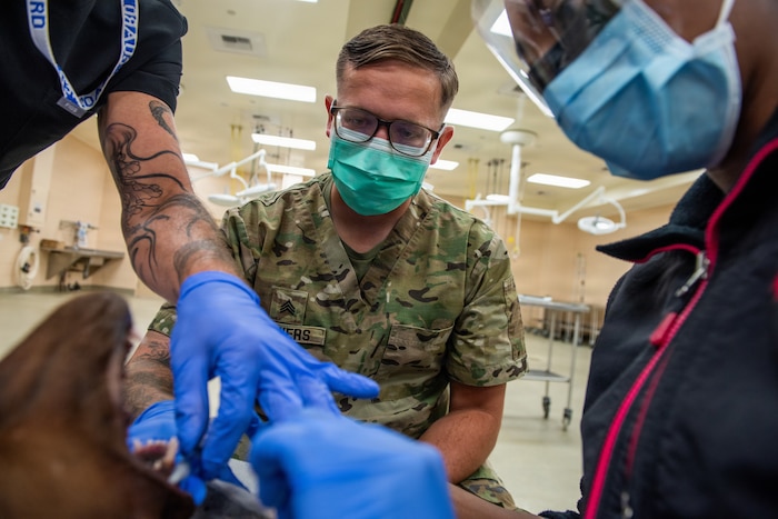Airman practices canine dentistry