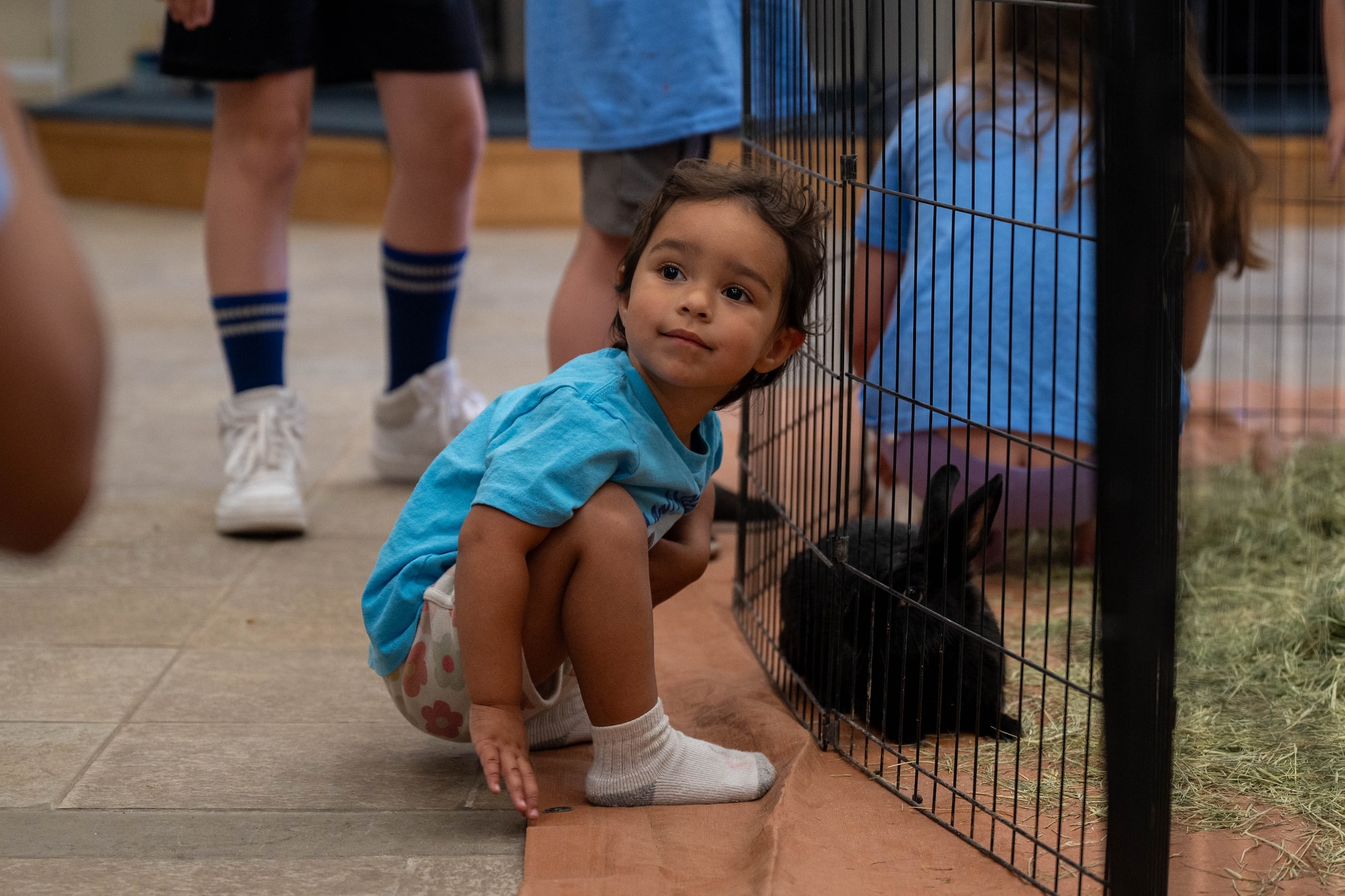 A military child plays with a rabbit during the 56th Force Support Squadron’s Luke Air Force Base Library "Plant a Seed, Read" summer reading program kickoff at Luke Air Force Base, Arizona, June 3, 2026.