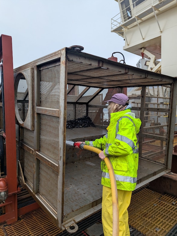 Person holds hose and sprays cage that holds dredged material.