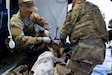 Two Soldiers provide medical care to a simulated casualty with a traumatic arm amputation to stabilize the patient for transport to a higher level of care during the 7th Infantry Division (Multi-Domain Command – Pacific) medical exercise at Joint Base Lewis-McChord, Wash., on June 2, 2026.