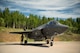 A U.S. Air Force F-35A Lightning II aircraft assigned to the 48th Fighter Wing prepares for taxi on the flightline during Ramstein Flag 26 at Pirkkala Air Base, Finland, June 8, 2026. As Allied Air Command's premier tactical exercise, RAFL26 tests the ability of NATO forces to respond to emerging threats with immediate, decisive airpower. (U.S. Air Force photo by Tech. Sgt. Christine Groening)