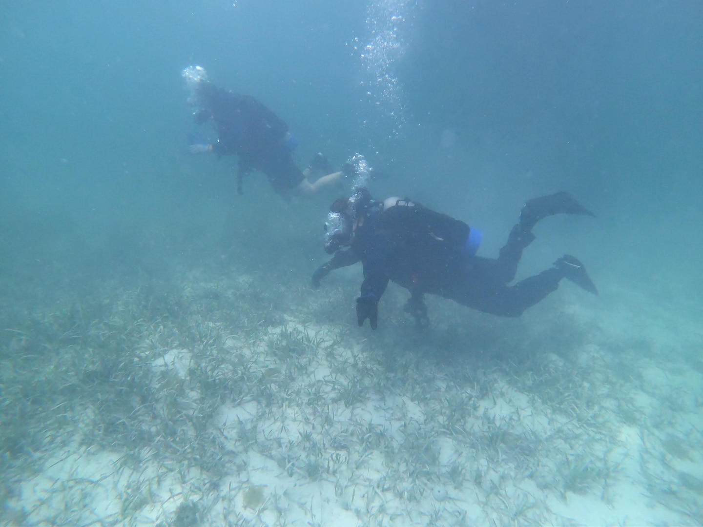 U.S. Coast Guard Divers search for a missing person during a CGIS investigation in the Bahamas, Jun. 3, 2026. The Coast Guard's efforts were supported by the Royal Bahamas Police Force, the Royal Bahamas Defence Force, and K-9 Maggie from the Broward County Sheriff's Office. Coast Guard units included the Coast Guard Cutter Margaret Norvell (WPC-1105), home ported in Miami, Florida, and Coast Guard divers. (U.S. Coast Guard courtesy photo)