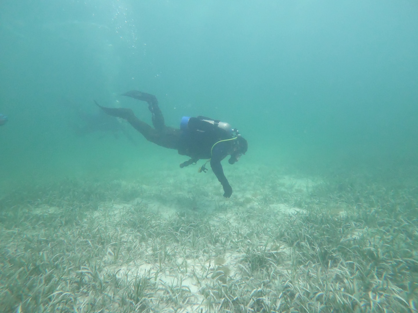 U.S. Coast Guard Divers search for a missing person during a CGIS investigation in the Bahamas, Jun. 3, 2026. The Coast Guard's efforts were supported by the Royal Bahamas Police Force, the Royal Bahamas Defence Force, and K-9 Maggie from the Broward County Sheriff's Office. Coast Guard units included the Coast Guard Cutter Margaret Norvell (WPC-1105), home ported in Miami, Florida, and Coast Guard divers. (U.S. Coast Guard courtesy photo)