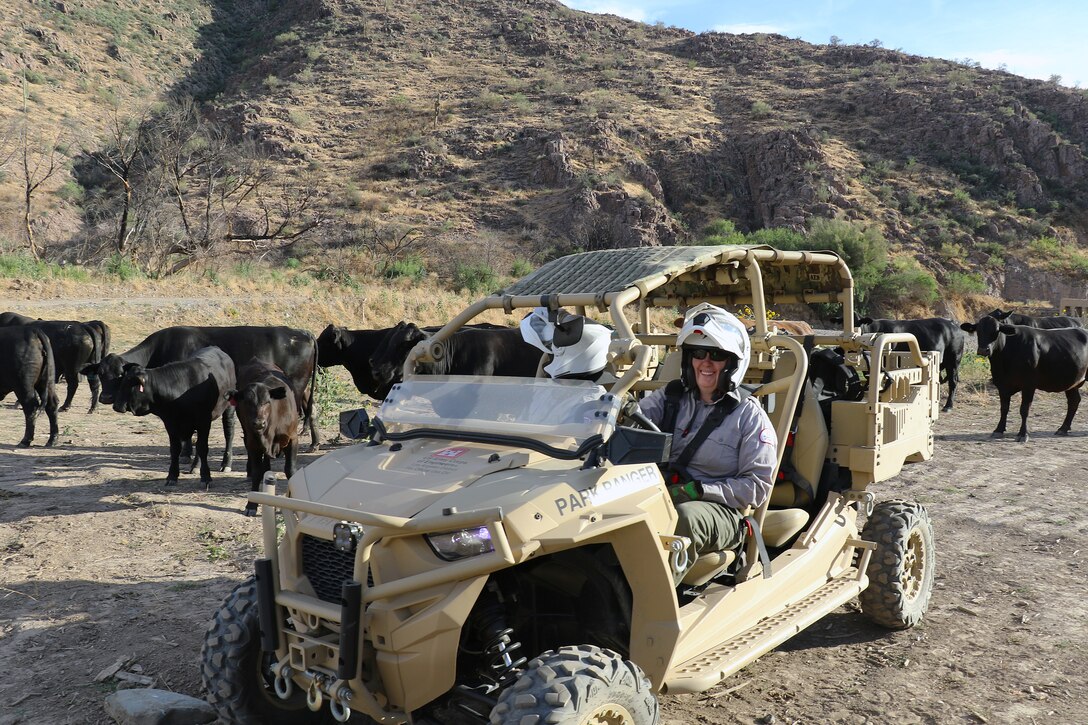Park Rangers Emily Hibbard, right, and Joseph Carranza Escobar find encroaching cattle during an environmental inspection of the Whitlow Range Dam Area May 13 near Queen Valley, Arizona. Although the black bovine beauties seemed content to graze on U.S. Army Corps of Engineer lands, it is unauthorized use of federal property and is a potential safety hazard for the herd grazing upstream.