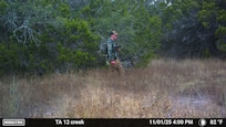 Person in hunting gear from trail camera