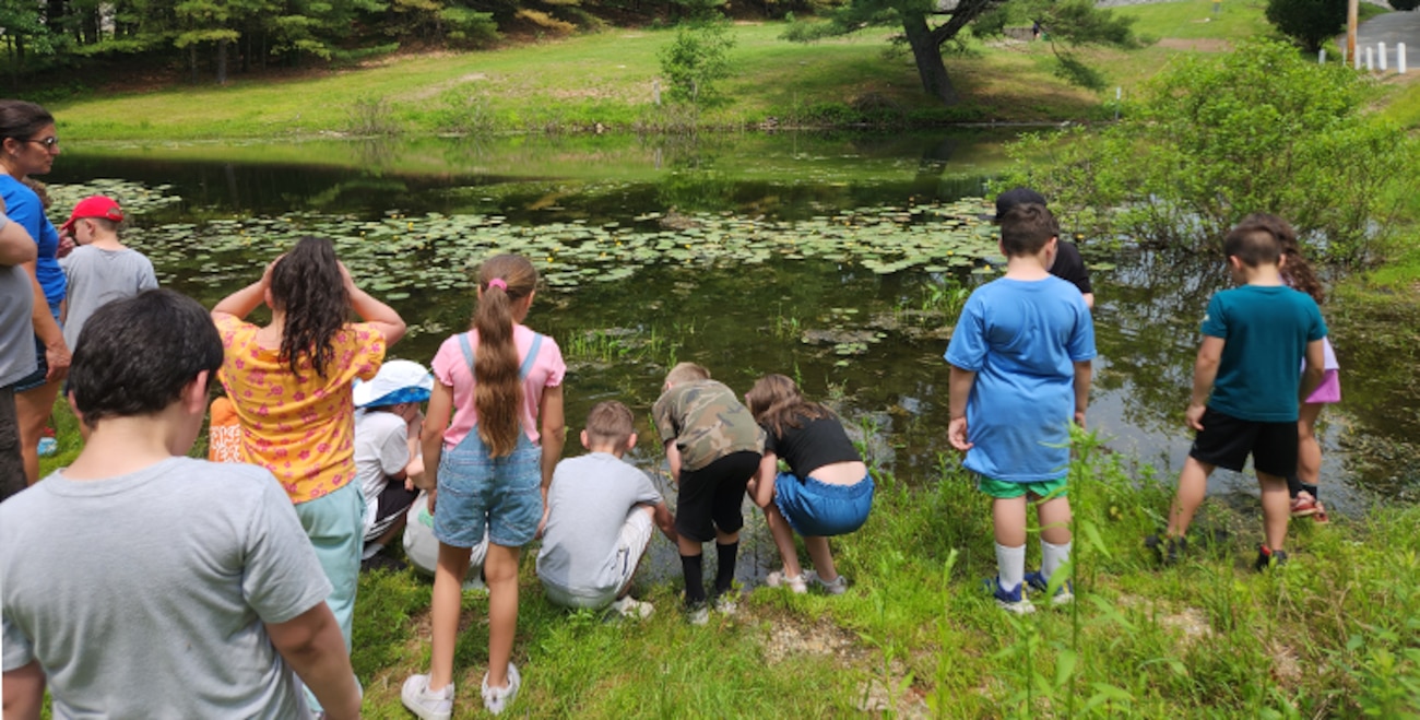 Interpretative Programs