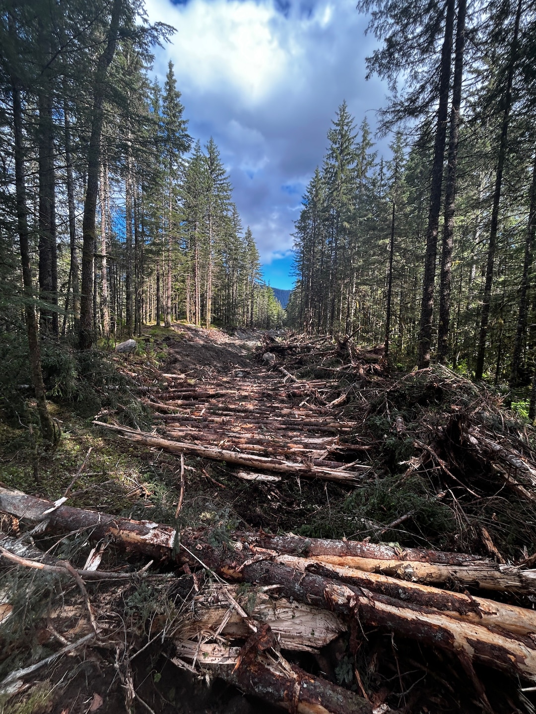 The berm will impact an area of about two acres of Forest Service managed land adjacent to Back Loop Road between Back Loop Bridge and Chelsea Court. The berm will have a height of 10-12 feet with a width of 50-60 feet once finished. The effort will include site preparation and clearing, construction of the embankment itself and, finally, stabilization activities. Some timber will be marked for salvage and public use as well.