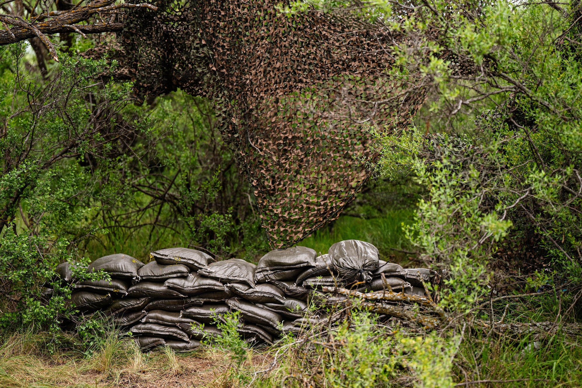 Airmen participate in a field exercise and play capture the flag outside in a wooded area