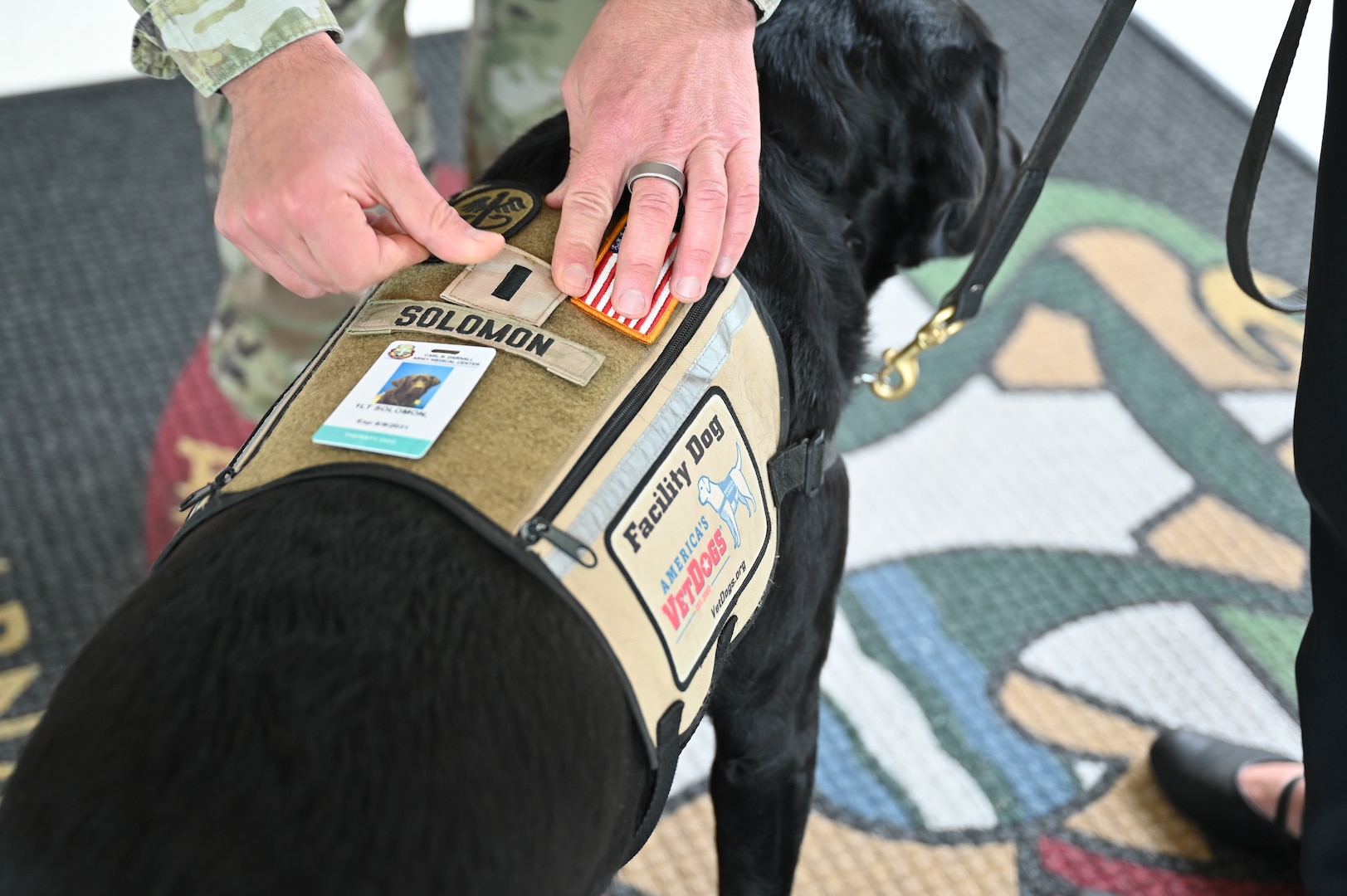 Col. Mark Jacques, Carl R. Darnall Army Medical Center commander, pins the rank of first lieutenant on facility dog Solomon during a promotion ceremony June 11 at Fort Hood, Texas. Since joining CRDAMC, Solomon has become a source of support throughout the organization.