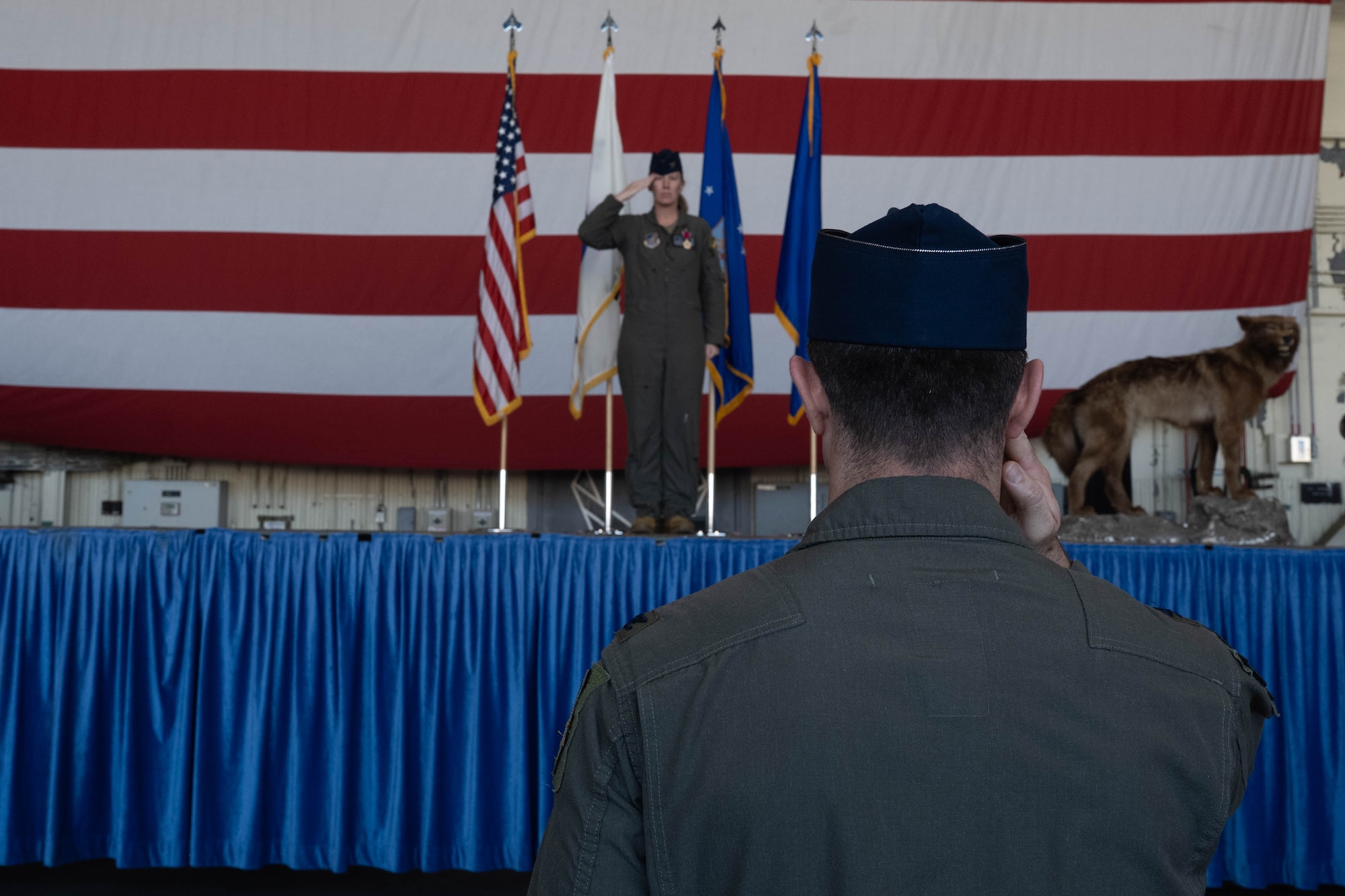 Commanders salute.