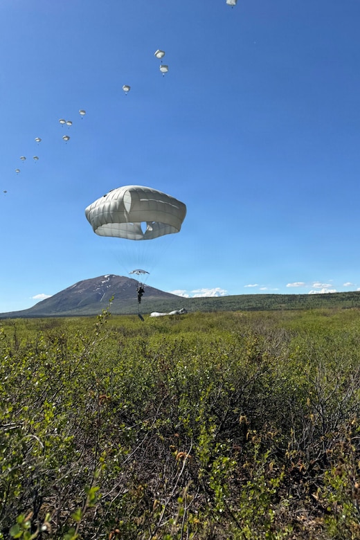 An Army paratrooper, wearing a parachute, drifts down into a grassy field. In the distance are more than a dozen other paratroopers and mountains.