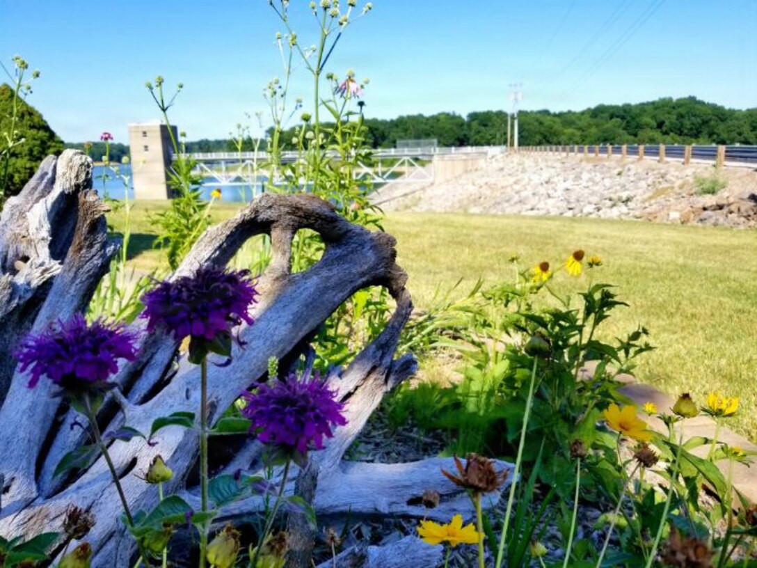 Many of the projects and lakes across the Louisville District footprint have dedicated pollinator habitats that they manage. In addition to planting pollinator supportive flora, several projects also maintain active honeybee hives.