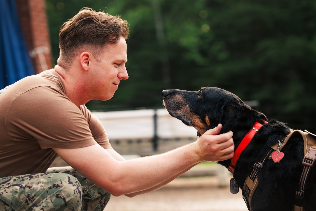U.S. Navy Hospital Corpsman Petty Officer 2nd Class Hunter Mignault with David R. Ray Branch Health Clinic, pets Bristol, a therapy dog with Naval Health Clinic Quantico at The Basic School on Marine Corps Base Quantico, June 11, 2026. Bristol has been a therapy dog since December 2019, earning her Canine Good Citizen title in April 2020 and has made over 460 visits dedicating over 700 volunteer hours to supporting service members. (U.S. Marine Corps photo by Cpl. Braydon Rogers)