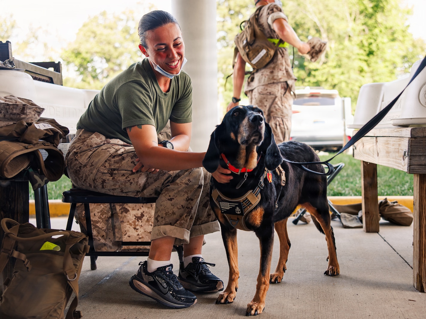 A U.S. Marine Corps officer candidate with Officer Candidate School pets Bristol, a therapy dog with Naval Health Clinic Quantico at OCS on Marine Corps Base Quantico, June 11, 2026. Bristol has been a therapy dog since December 2019, earning her Canine Good Citizen title in April 2020 and has made over 460 visits dedicating over 700 volunteer hours to supporting service members. (U.S. Marine Corps photo by Cpl. Braydon Rogers)