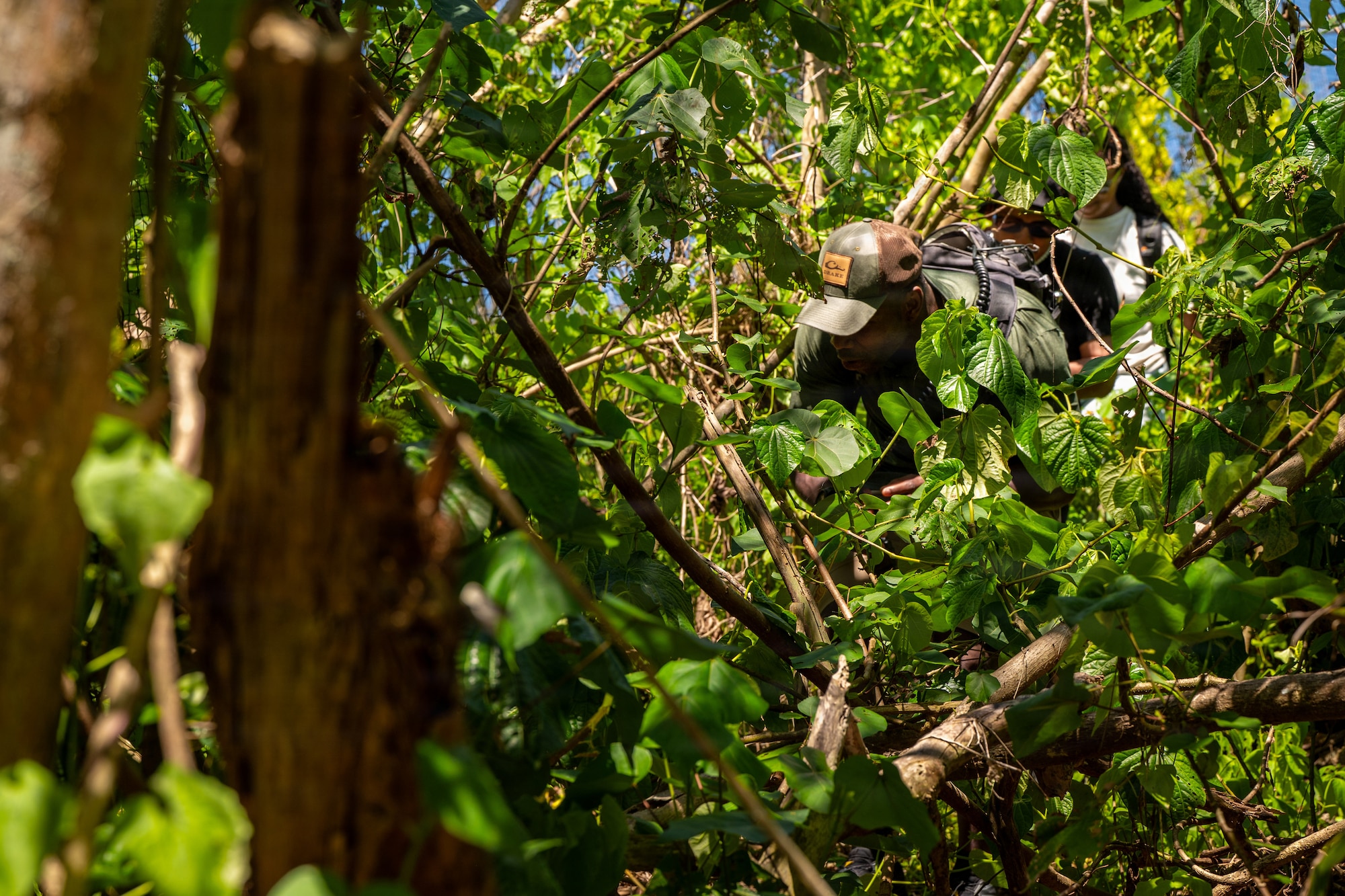 Service member walks through jungle