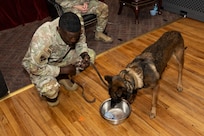 Military Working Dog Retirement Ceremony