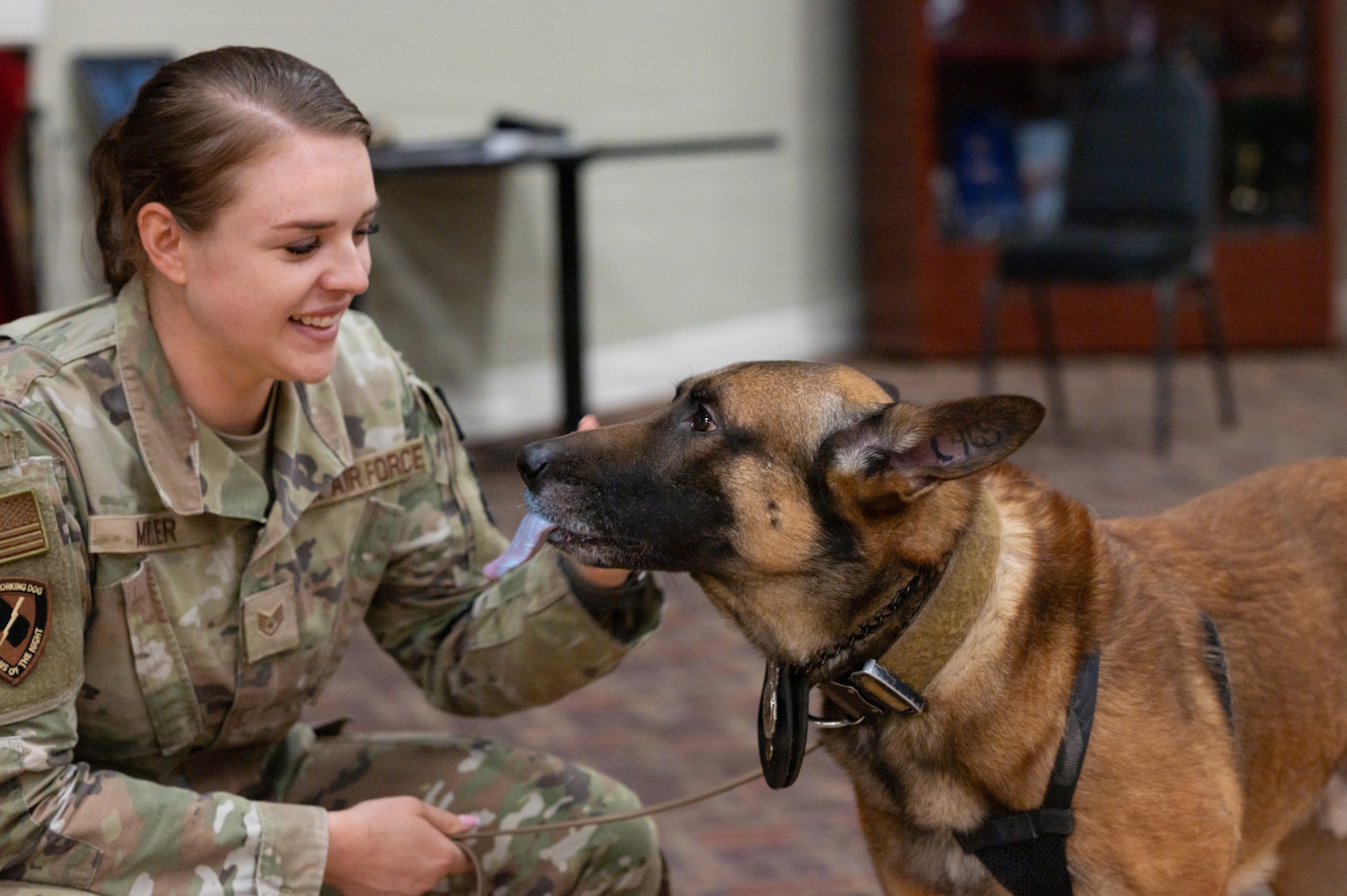 Military Working Dog Retirement Ceremony