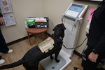 Solomon steps onto the scale during an appointment at the Carl R. Darnall Army Medical Center’s Nutrition Care Clinic. Like many patients beginning their own wellness journeys, his visit started with a simple but important step: tracking progress and creating a plan for healthier habits.