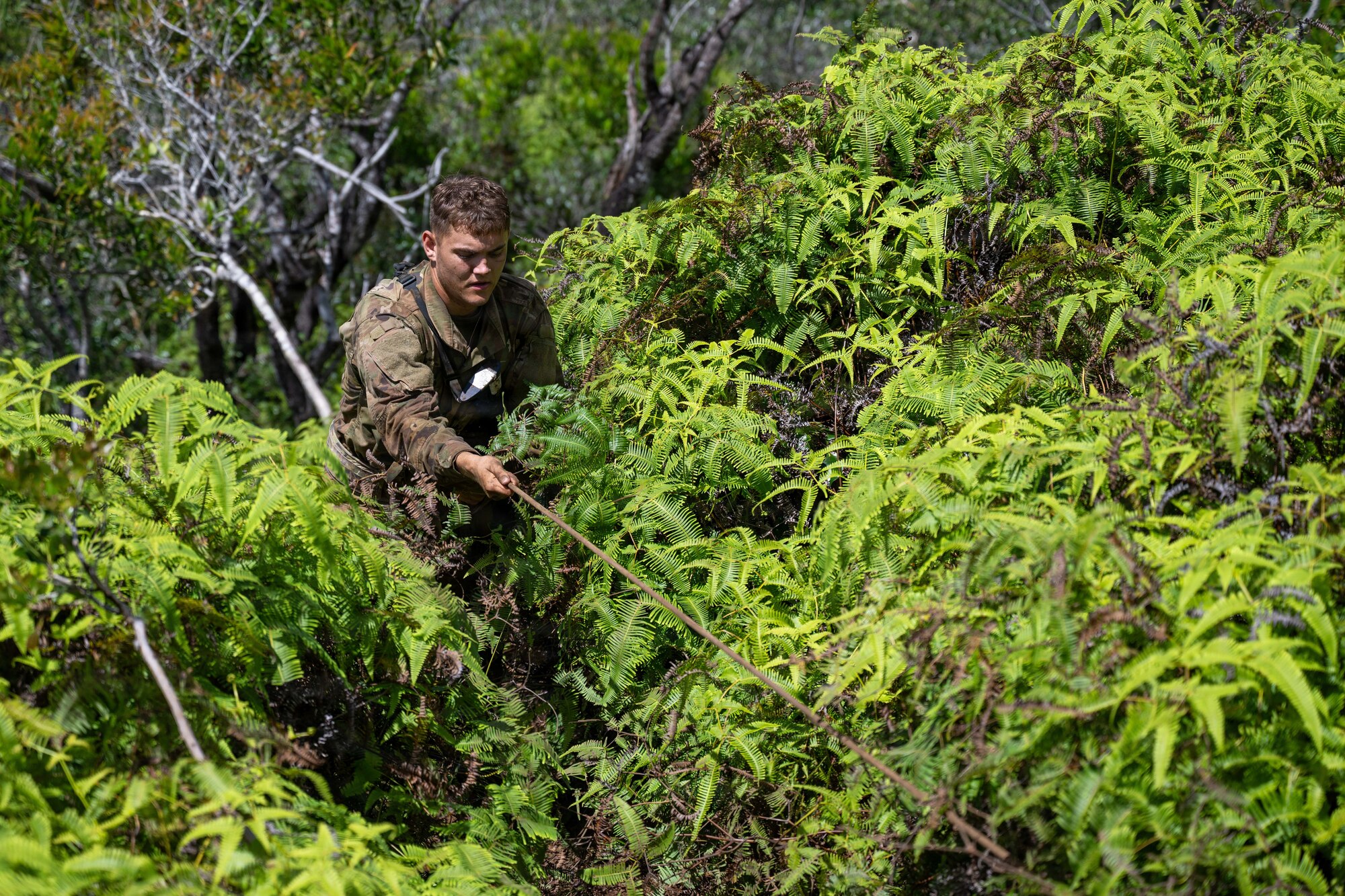 A U.S. Air Force Airman climbs up a hill during the Green Mile for Vanguard Expeditionary Training 02-26.