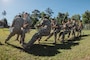 U.S. Marines with 2nd Network Battalion, Marine Corps Cyberspace Operations Group, Marine Corps Forces Cyberspace Command, participate in tug of war during 2nd Network Battalion’s 5th birthday celebration at Marine Corps Base Camp Lejeune, North Carolina, June 4, 2026. 2nd Network Battalion was activated on June 3, 2021, to ensure the operation of a resilient network that enables mission execution in the face of persistent cyber threats. (U.S. Marine Corps photo by Cpl. Daniela Chicas Torres)
