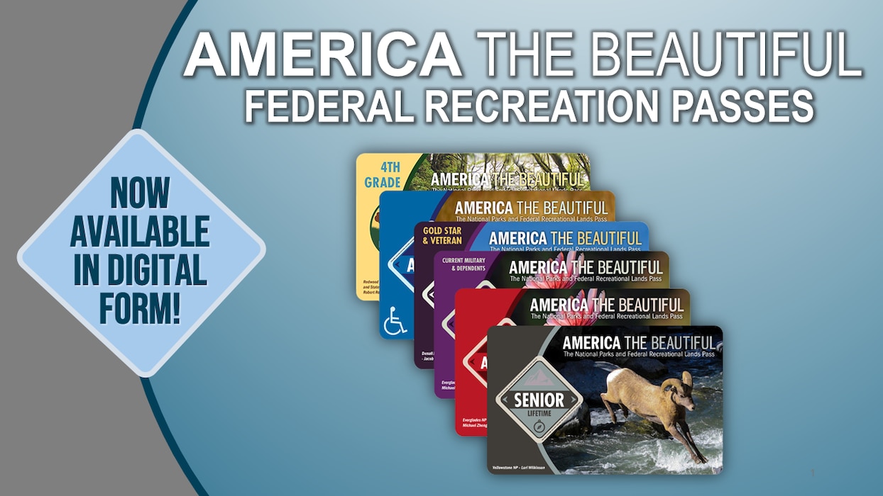 America the Beautiful Passes Graphic