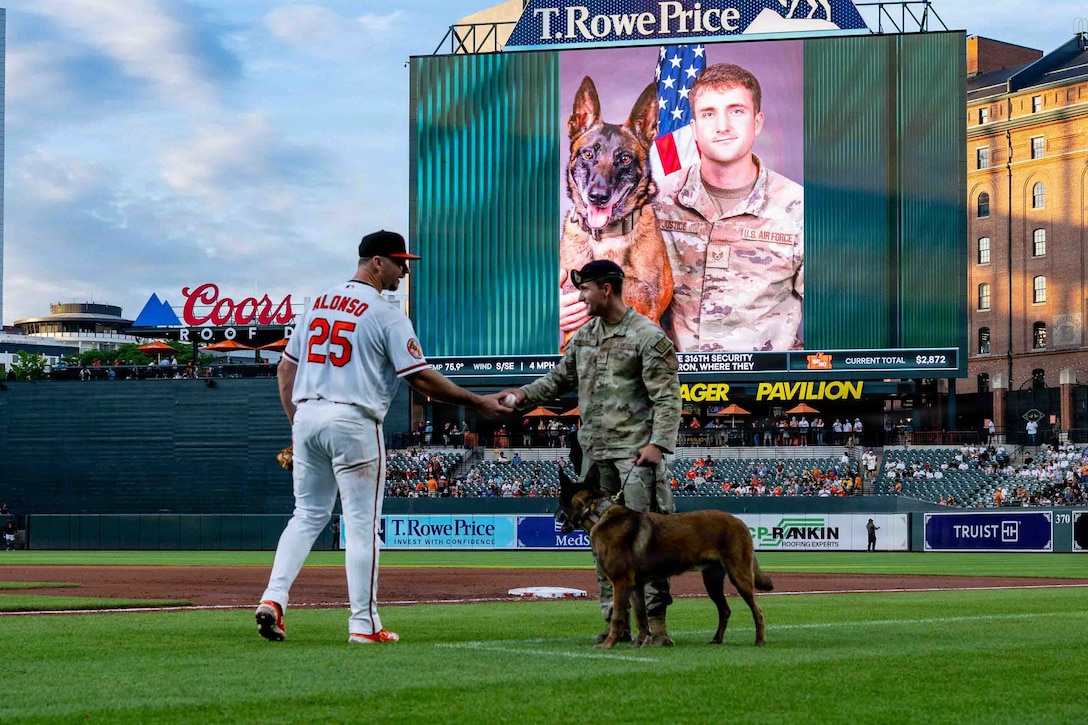 Service member handles a military working dog at a baseball game.