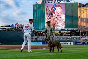 Baltimore Orioles player hands service member and military working dog a baseball. 