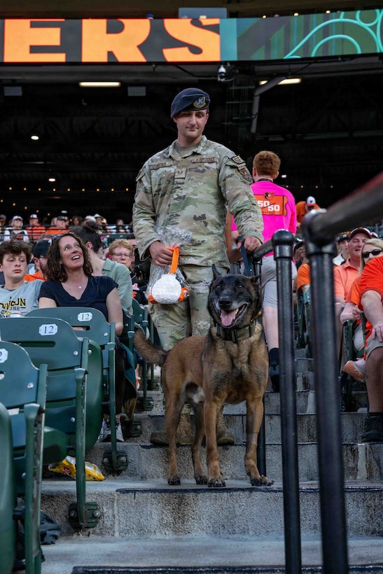 Service member handles a military working dog at a baseball game.