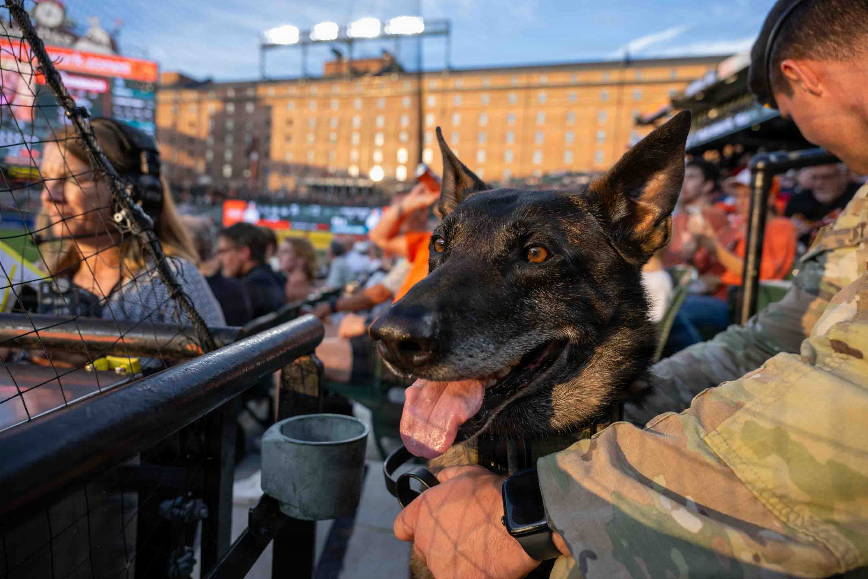 316 SFS MWD recognized at Bark at the Park > Joint Base Andrews > News