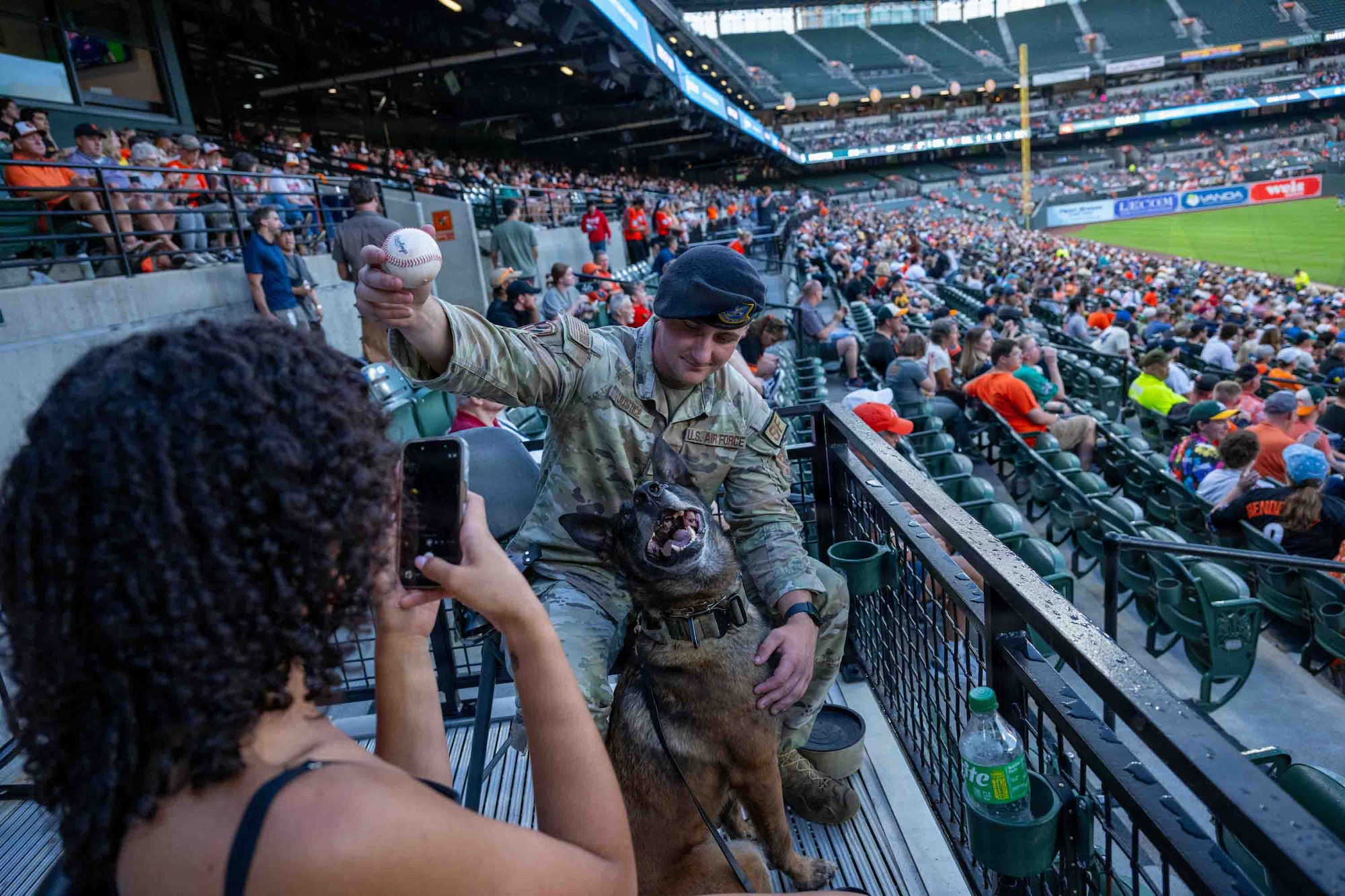 Service member handles a military working dog at a baseball game.