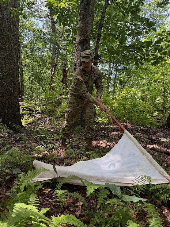 SGT Meagher uses a tick flag at WRAIR.