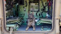 A police K9 inside an M2 Bradley Fighting Vehicle during training with the Idaho National Guard.