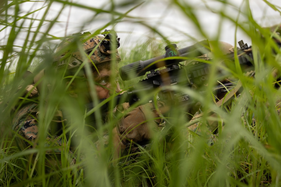 Concealed in tall grass, a Marine wearing a camouflage uniform, helmet and face paint looks through the scope on his machine gun.