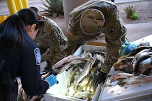 Two people wearing camouflage military uniforms and one woman in a police uniform check a container full of fish for illegal drugs during a border crossing check.