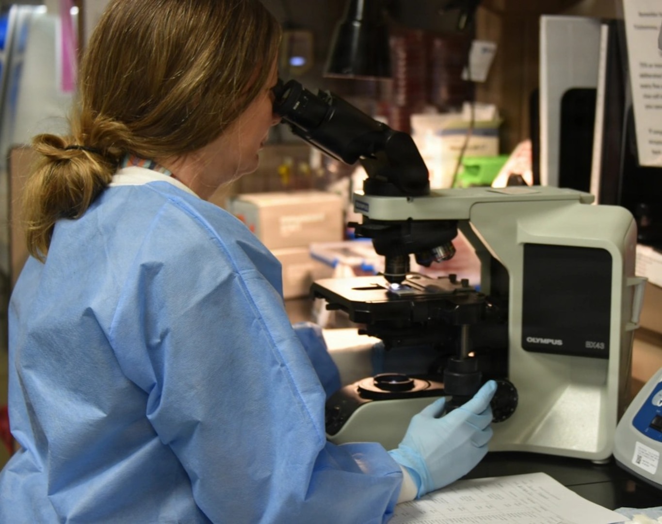Womack Army Medical Center, Pathology technician review gram stains to identify the type of bacteria causing an infection. April 23, 2026, Fort Bragg North Carolina. (Photo by Keisha Frith, Womack Army Medical Center Public Affairs Office)