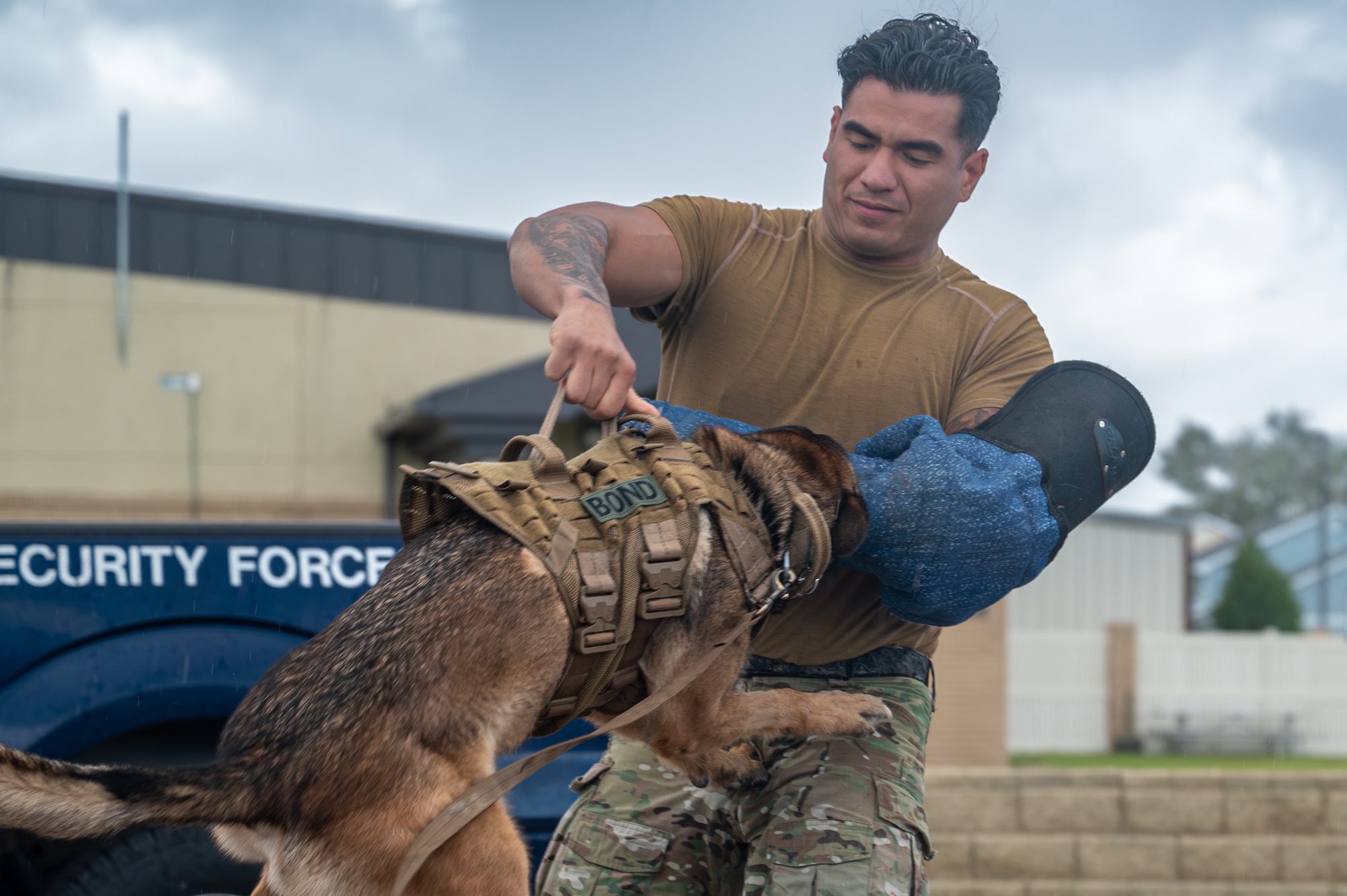 A uniformed man does a bite demonstration with a military working dog.